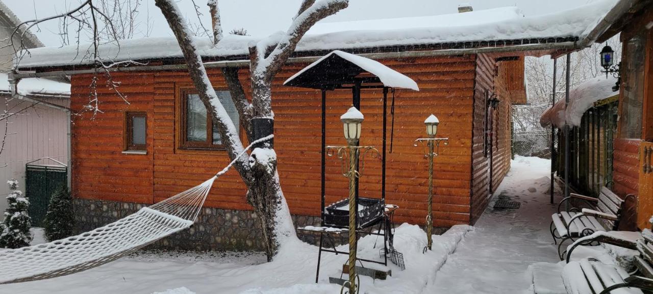 Kotiedzh U Mariny Villa Яремче Екстериор снимка