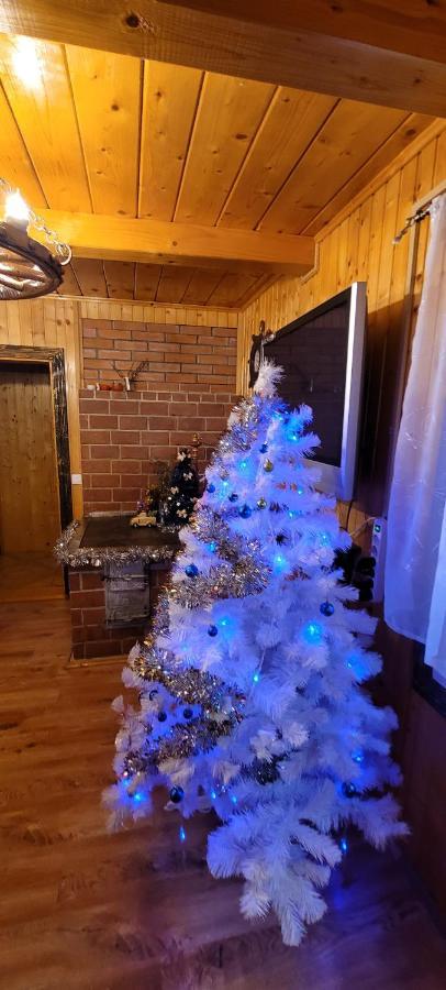 Kotiedzh U Mariny Villa Яремче Екстериор снимка