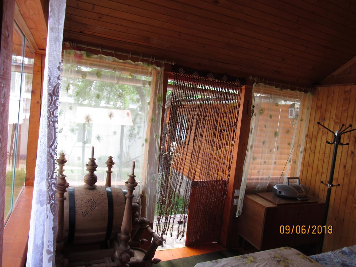 Kotiedzh U Mariny Villa Яремче Екстериор снимка